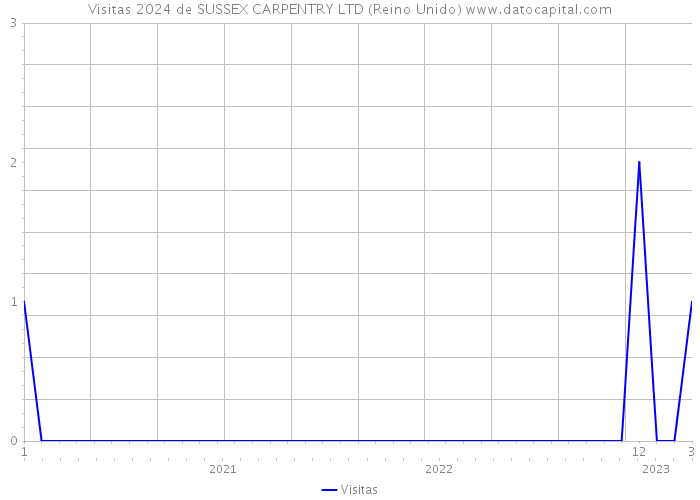 Visitas 2024 de SUSSEX CARPENTRY LTD (Reino Unido) 