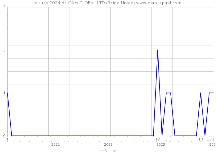 Visitas 2024 de GAM GLOBAL LTD (Reino Unido) 