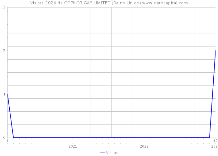 Visitas 2024 de COPNOR GAS LIMITED (Reino Unido) 