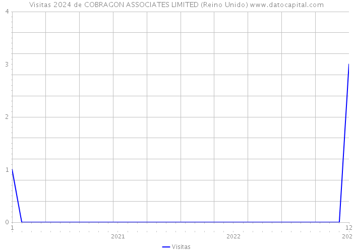 Visitas 2024 de COBRAGON ASSOCIATES LIMITED (Reino Unido) 