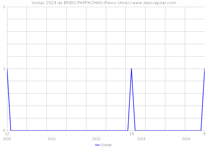 Visitas 2024 de BINDU PAPPACHAN (Reino Unido) 