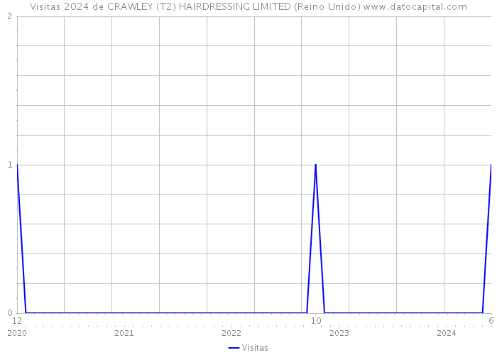 Visitas 2024 de CRAWLEY (T2) HAIRDRESSING LIMITED (Reino Unido) 