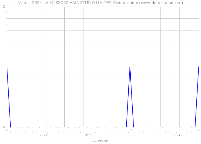 Visitas 2024 de SCISSORS HAIR STUDIO LIMITED (Reino Unido) 