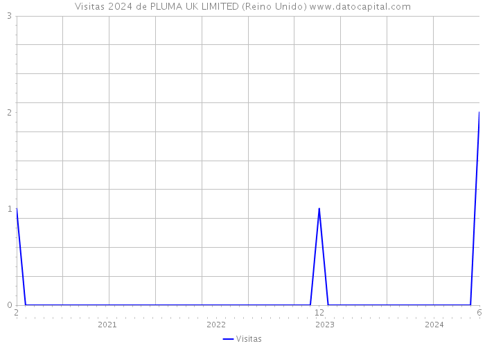 Visitas 2024 de PLUMA UK LIMITED (Reino Unido) 