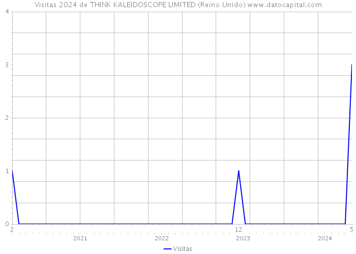 Visitas 2024 de THINK KALEIDOSCOPE LIMITED (Reino Unido) 