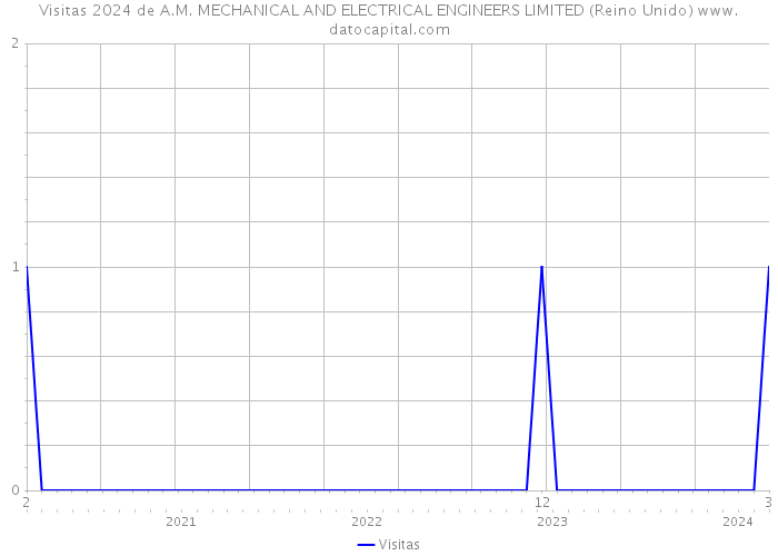 Visitas 2024 de A.M. MECHANICAL AND ELECTRICAL ENGINEERS LIMITED (Reino Unido) 