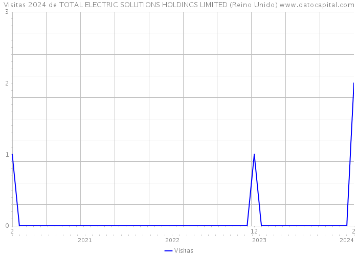 Visitas 2024 de TOTAL ELECTRIC SOLUTIONS HOLDINGS LIMITED (Reino Unido) 