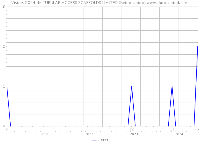 Visitas 2024 de TUBULAR ACCESS SCAFFOLDS LIMITED (Reino Unido) 