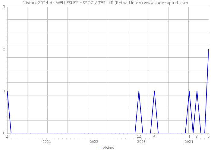 Visitas 2024 de WELLESLEY ASSOCIATES LLP (Reino Unido) 