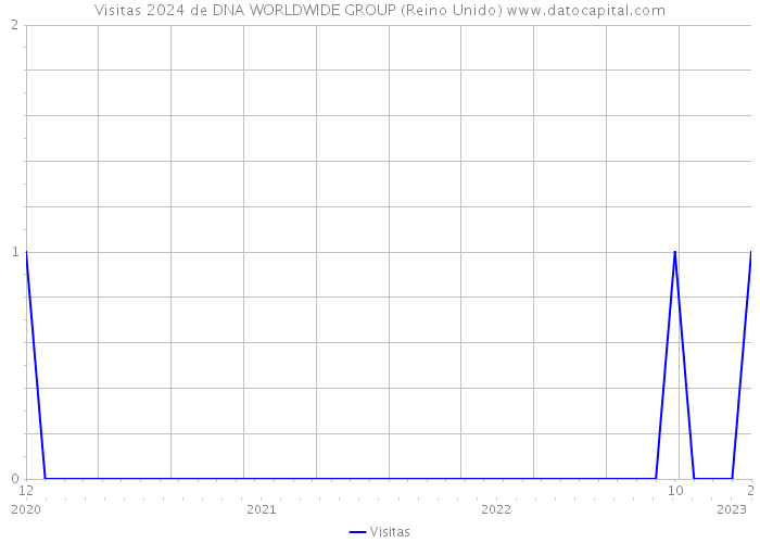 Visitas 2024 de DNA WORLDWIDE GROUP (Reino Unido) 