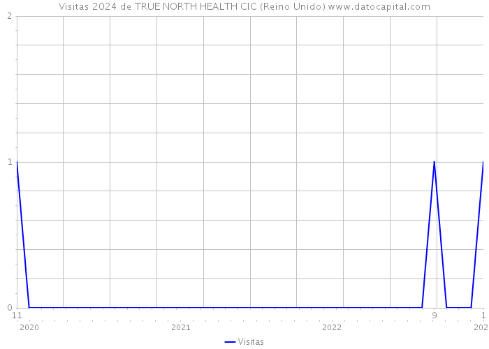 Visitas 2024 de TRUE NORTH HEALTH CIC (Reino Unido) 