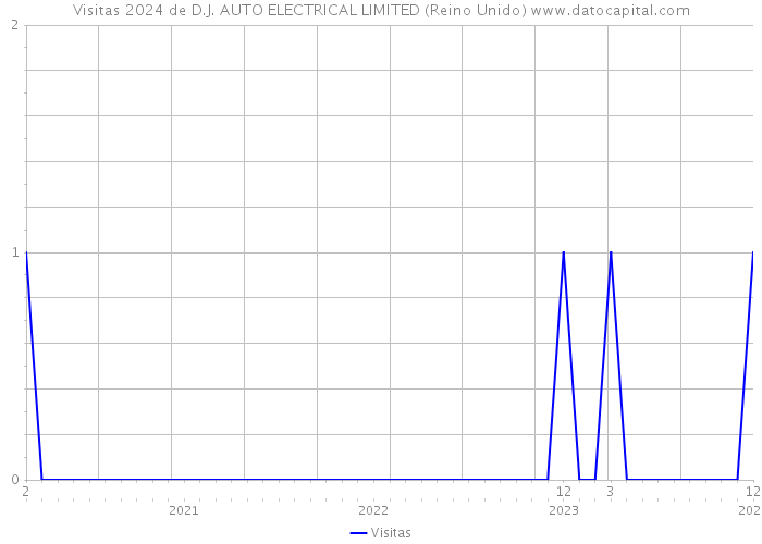 Visitas 2024 de D.J. AUTO ELECTRICAL LIMITED (Reino Unido) 