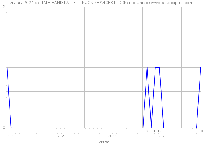 Visitas 2024 de TMH HAND PALLET TRUCK SERVICES LTD (Reino Unido) 