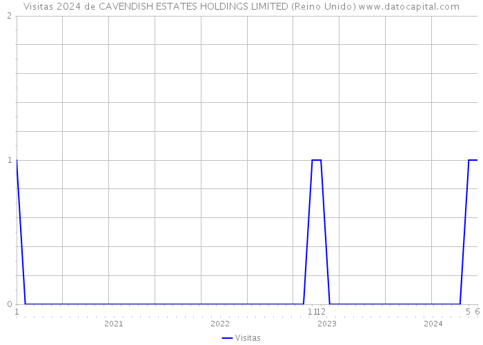 Visitas 2024 de CAVENDISH ESTATES HOLDINGS LIMITED (Reino Unido) 