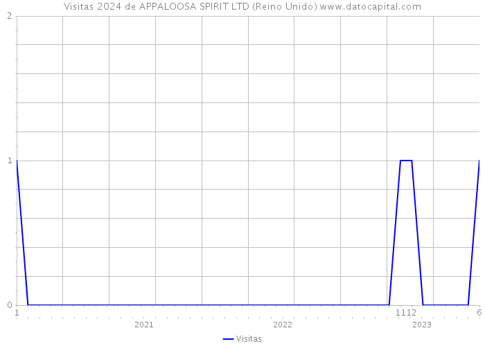 Visitas 2024 de APPALOOSA SPIRIT LTD (Reino Unido) 