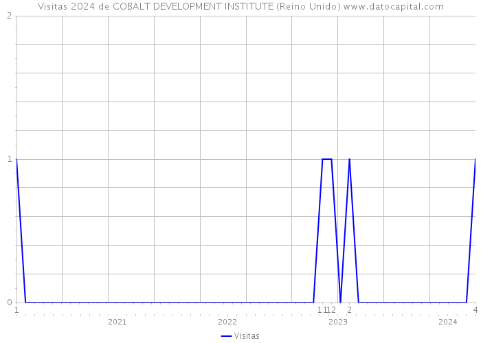 Visitas 2024 de COBALT DEVELOPMENT INSTITUTE (Reino Unido) 