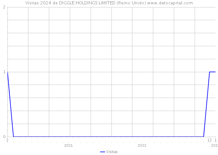 Visitas 2024 de DIGGLE HOLDINGS LIMITED (Reino Unido) 