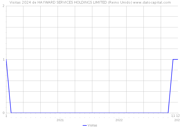 Visitas 2024 de HAYWARD SERVICES HOLDINGS LIMITED (Reino Unido) 