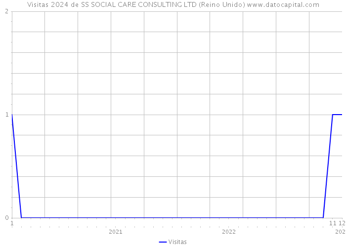 Visitas 2024 de SS SOCIAL CARE CONSULTING LTD (Reino Unido) 