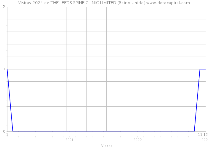 Visitas 2024 de THE LEEDS SPINE CLINIC LIMITED (Reino Unido) 