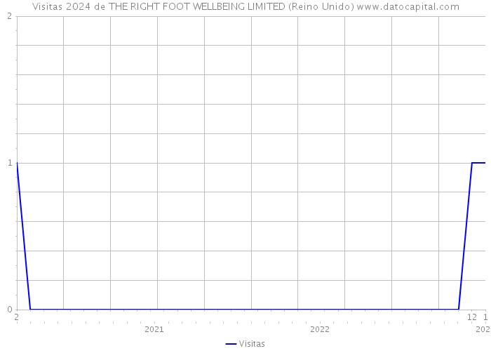 Visitas 2024 de THE RIGHT FOOT WELLBEING LIMITED (Reino Unido) 