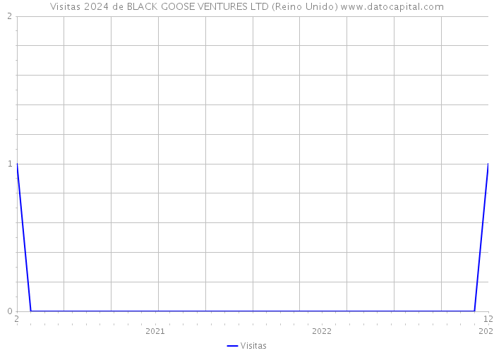 Visitas 2024 de BLACK GOOSE VENTURES LTD (Reino Unido) 