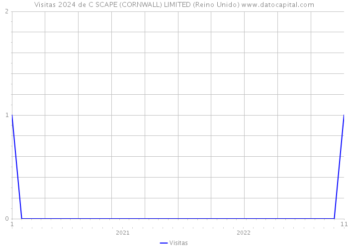 Visitas 2024 de C SCAPE (CORNWALL) LIMITED (Reino Unido) 