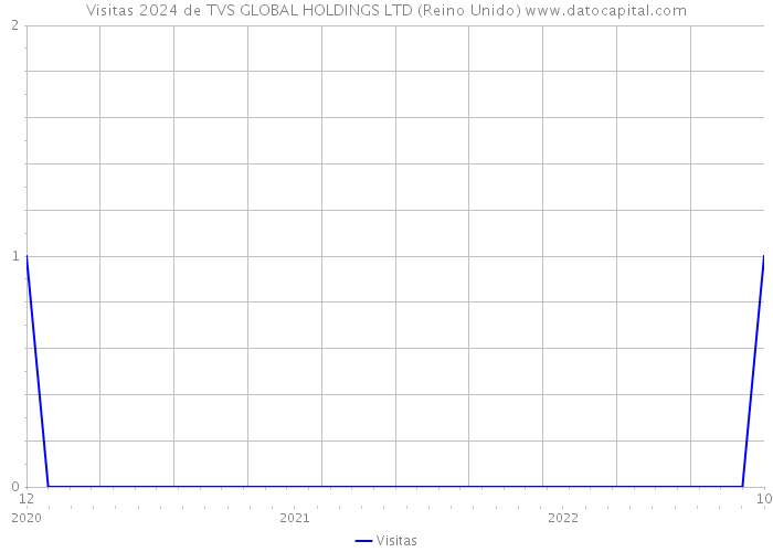 Visitas 2024 de TVS GLOBAL HOLDINGS LTD (Reino Unido) 