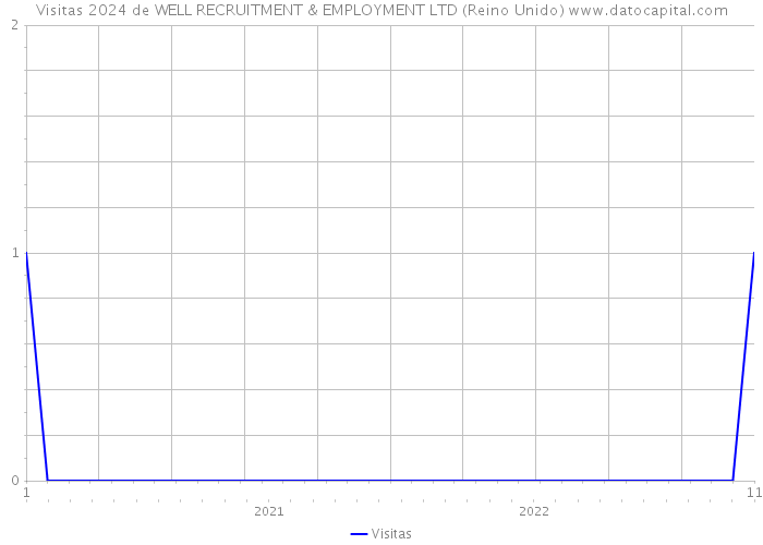 Visitas 2024 de WELL RECRUITMENT & EMPLOYMENT LTD (Reino Unido) 