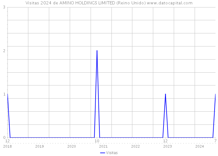 Visitas 2024 de AMINO HOLDINGS LIMITED (Reino Unido) 