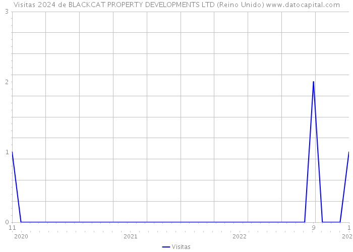Visitas 2024 de BLACKCAT PROPERTY DEVELOPMENTS LTD (Reino Unido) 