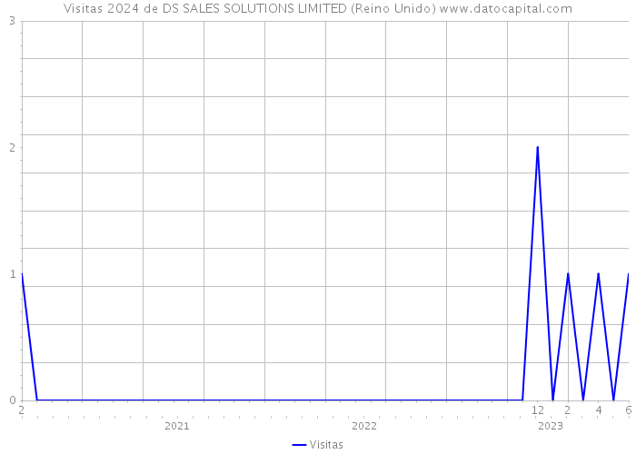 Visitas 2024 de DS SALES SOLUTIONS LIMITED (Reino Unido) 