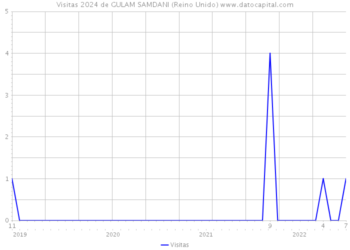 Visitas 2024 de GULAM SAMDANI (Reino Unido) 