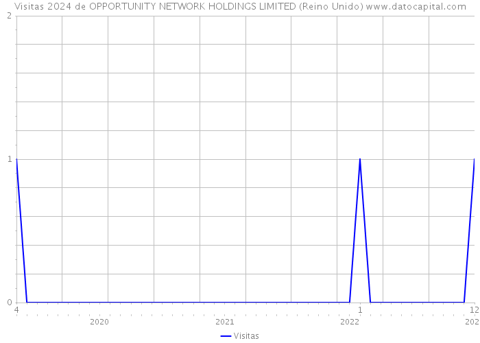Visitas 2024 de OPPORTUNITY NETWORK HOLDINGS LIMITED (Reino Unido) 