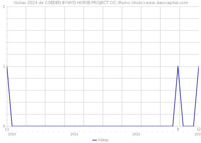 Visitas 2024 de COEDEN BYWYD HORSE PROJECT CIC (Reino Unido) 