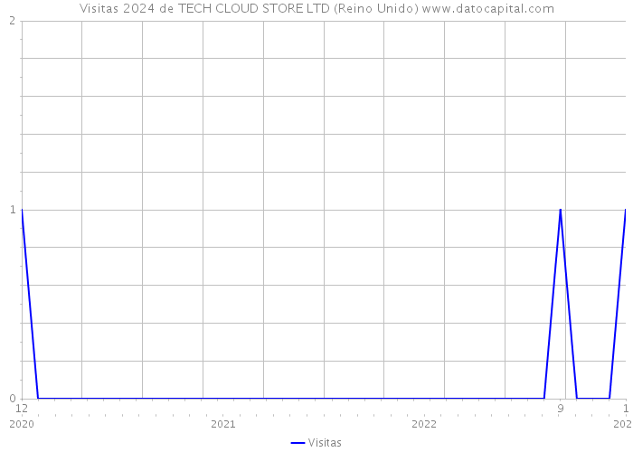 Visitas 2024 de TECH CLOUD STORE LTD (Reino Unido) 