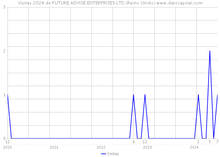 Visitas 2024 de FUTURE ADVISE ENTERPRISES LTD (Reino Unido) 