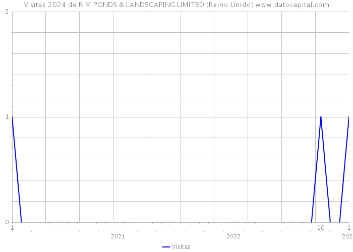 Visitas 2024 de R M PONDS & LANDSCAPING LIMITED (Reino Unido) 