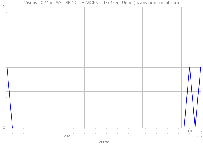 Visitas 2024 de WELLBEING NETWORK LTD (Reino Unido) 