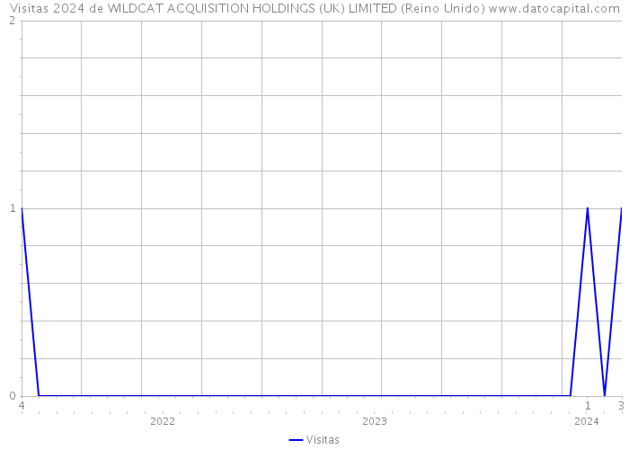 Visitas 2024 de WILDCAT ACQUISITION HOLDINGS (UK) LIMITED (Reino Unido) 