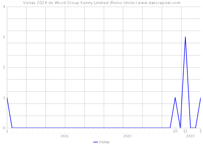 Visitas 2024 de Wood Group Kenny Limited (Reino Unido) 