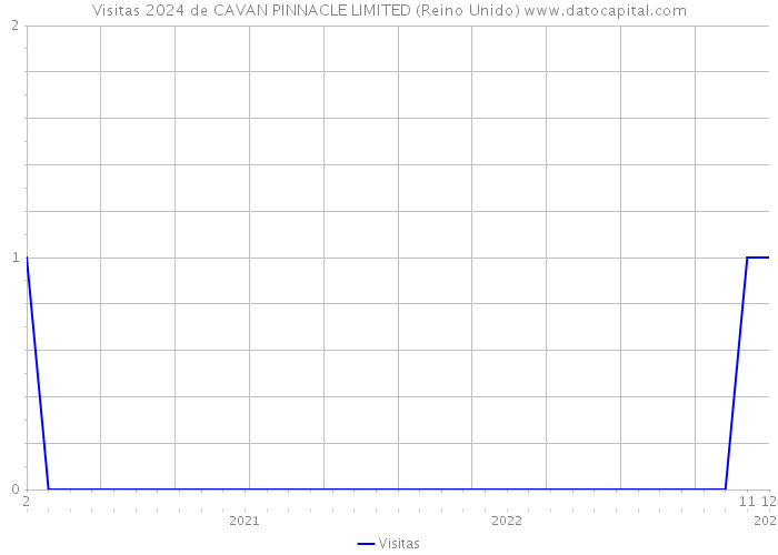 Visitas 2024 de CAVAN PINNACLE LIMITED (Reino Unido) 