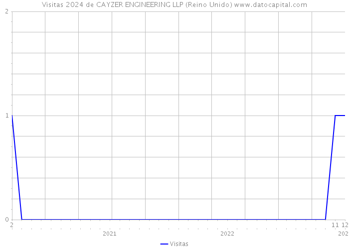 Visitas 2024 de CAYZER ENGINEERING LLP (Reino Unido) 