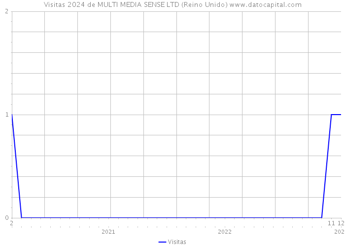 Visitas 2024 de MULTI MEDIA SENSE LTD (Reino Unido) 