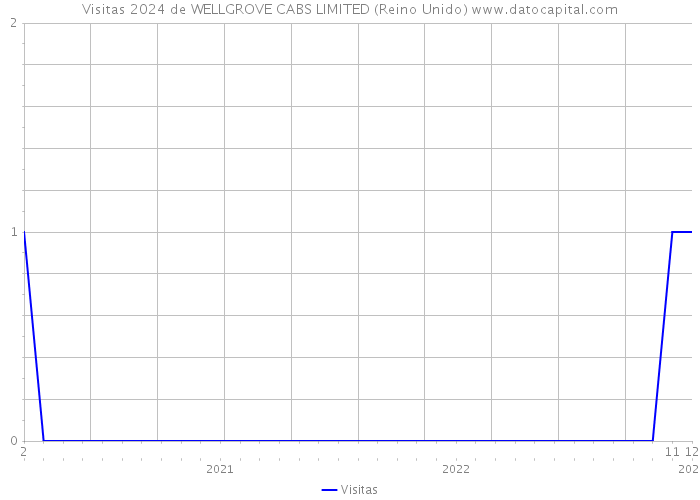 Visitas 2024 de WELLGROVE CABS LIMITED (Reino Unido) 