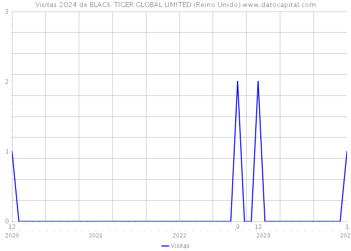 Visitas 2024 de BLACK TIGER GLOBAL LIMITED (Reino Unido) 