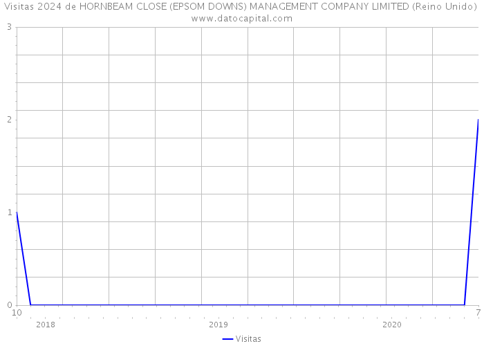 Visitas 2024 de HORNBEAM CLOSE (EPSOM DOWNS) MANAGEMENT COMPANY LIMITED (Reino Unido) 