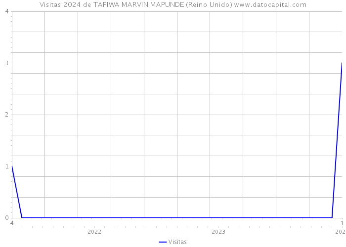 Visitas 2024 de TAPIWA MARVIN MAPUNDE (Reino Unido) 