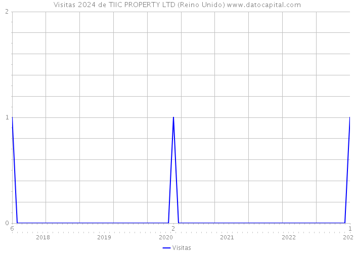 Visitas 2024 de TIIC PROPERTY LTD (Reino Unido) 