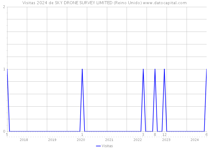 Visitas 2024 de SKY DRONE SURVEY LIMITED (Reino Unido) 